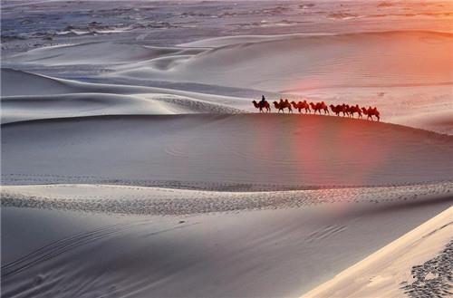 ˿�񡢲�Ҷ���޻����й���ó��Ʒ����ʷ���״�