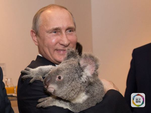 ������˼���վ�֧����Ϊɶ��ô�ߣ�