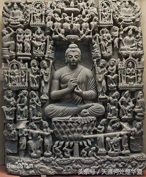 1514794351892518.jpg 种族.jpg