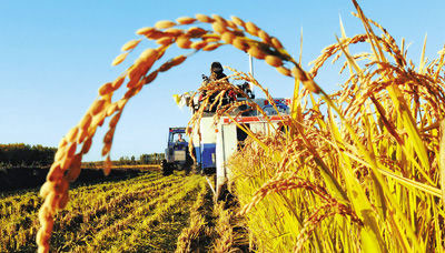 ̸йũҵչ12Ϊνȴڲ