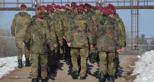 ¹췽ԾӼҳչ飺Ӣɴ